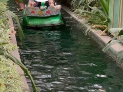 -南宫五洲植物乐园