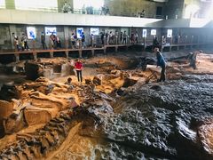 -自贡恐龙博物馆