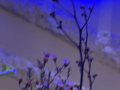 -爱乐国际温泉水疗会