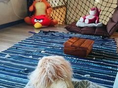 -管氏翅吧(马家堡店)