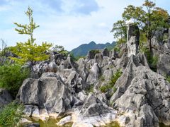 -千岛湖石林