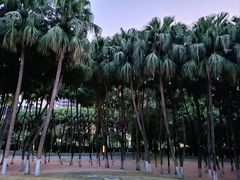 -红花山公园