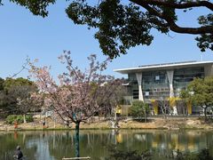 -新江湾城公园