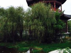-中国扬子鳄村
