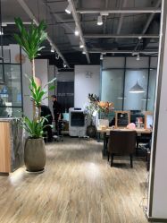 -Mentor Hair Salon