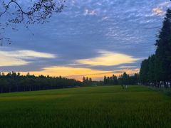 -广富林郊野公园