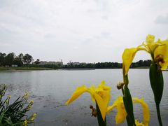 -美兰湖景区