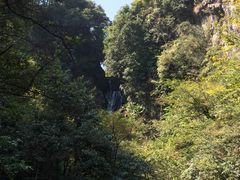 -石台牯牛降景区