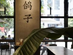 -野鸽子咖啡(中航店)