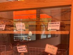 -Catch Bagel(芳草地店)