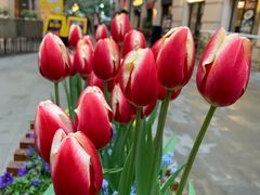 -威尔仕W FITNESS健身会所(联洋广场店)