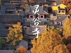 -灵谷景区