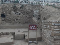 -白氏鲶鱼汤(白亮1号店)