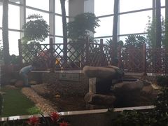 -贵阳龙洞堡国际机场-T2航站楼