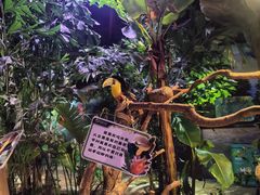 -正佳雨林生态植物园