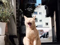 -贤花饭店(凯德店)