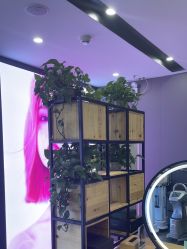 -藤野造型烫染·漂发