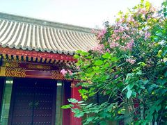 -北京国子监胡同