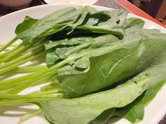 -皇城老妈·大连海鲜火锅(港湾店)