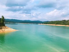 -广州市流溪河国家森林公园