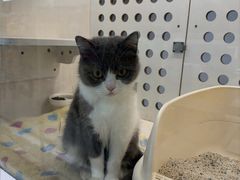 -comecome来吧宠物(奥克斯中心店)