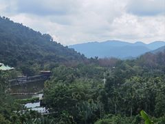 -呀诺达热带雨林