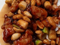 披萨宫保鸡丁-大鸭梨烤鸭店(花园村店)