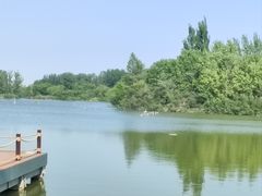 -翠湖国家城市湿地公园