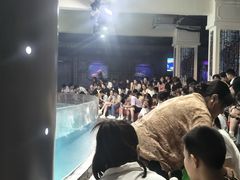 -南昌海洋公园