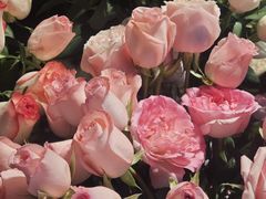 -循礼门鲜花花市(武汉循礼门店)