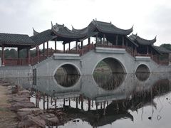 -上海海湾国家森林公园