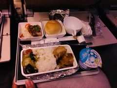 -新加坡航空公司(ION)
