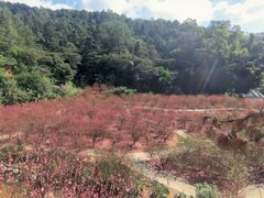 -白水带风景区体育公园