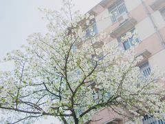 -四川大学(望江校区)