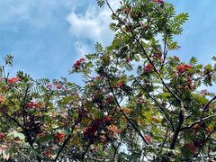 -白草畔自然风景区