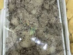 -阿妈妮韩式打糕店