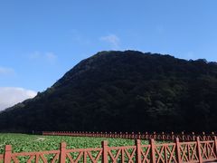 -广州市石门国家森林公园