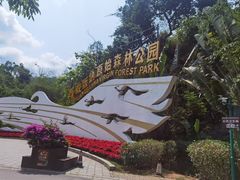 -西双版纳原始森林公园