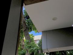 -文昌邓记清补凉(西沙路店)