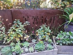 -听香·678茶铺(猛追湾店)