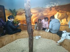-昆明大悦城未来动物城(螺蛳湾中心店)