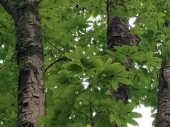 -宁波市保国寺古建筑博物馆