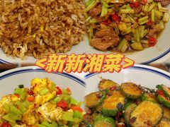 -新新湘菜馆(新中街二条店)