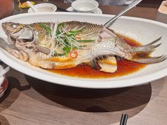 -大中华酒楼·主席武昌鱼·武汉美食地标(江汉路步行街店)