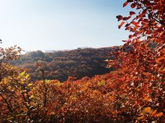 -周口店坡峰岭风景区