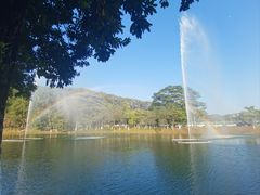 -东莞植物园