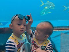 -瑞德姆美人鱼海底演艺主题餐厅(亚龙湾店)