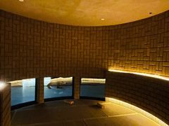 -涨巢·潮玩水疗局