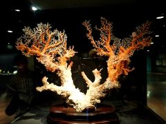 -台北故宫博物院