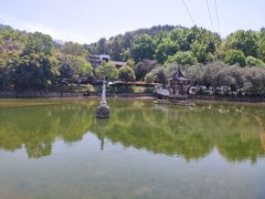 -青龙山国家森林公园